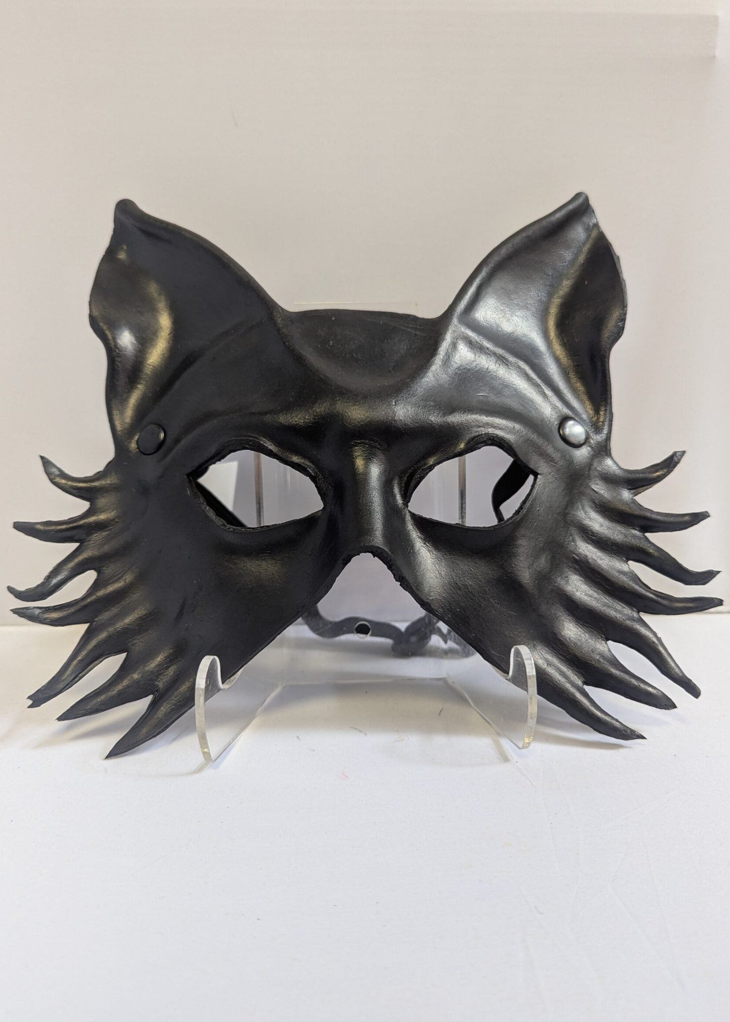 Black Fox image 0