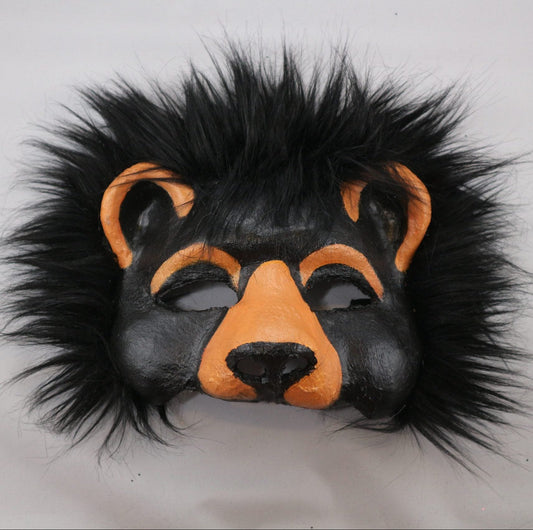 Black Bear image 0
