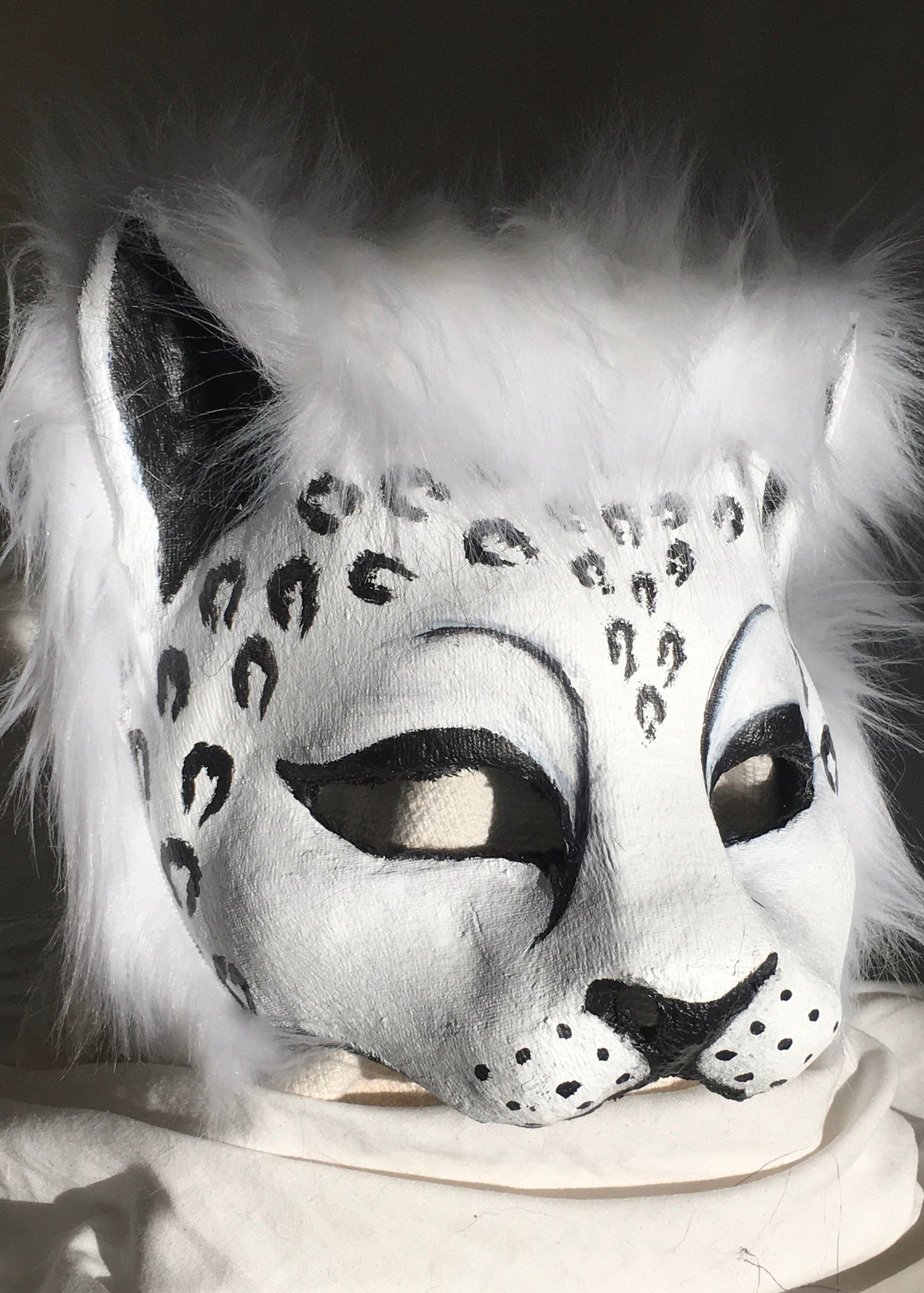 Snow Leopard image 0