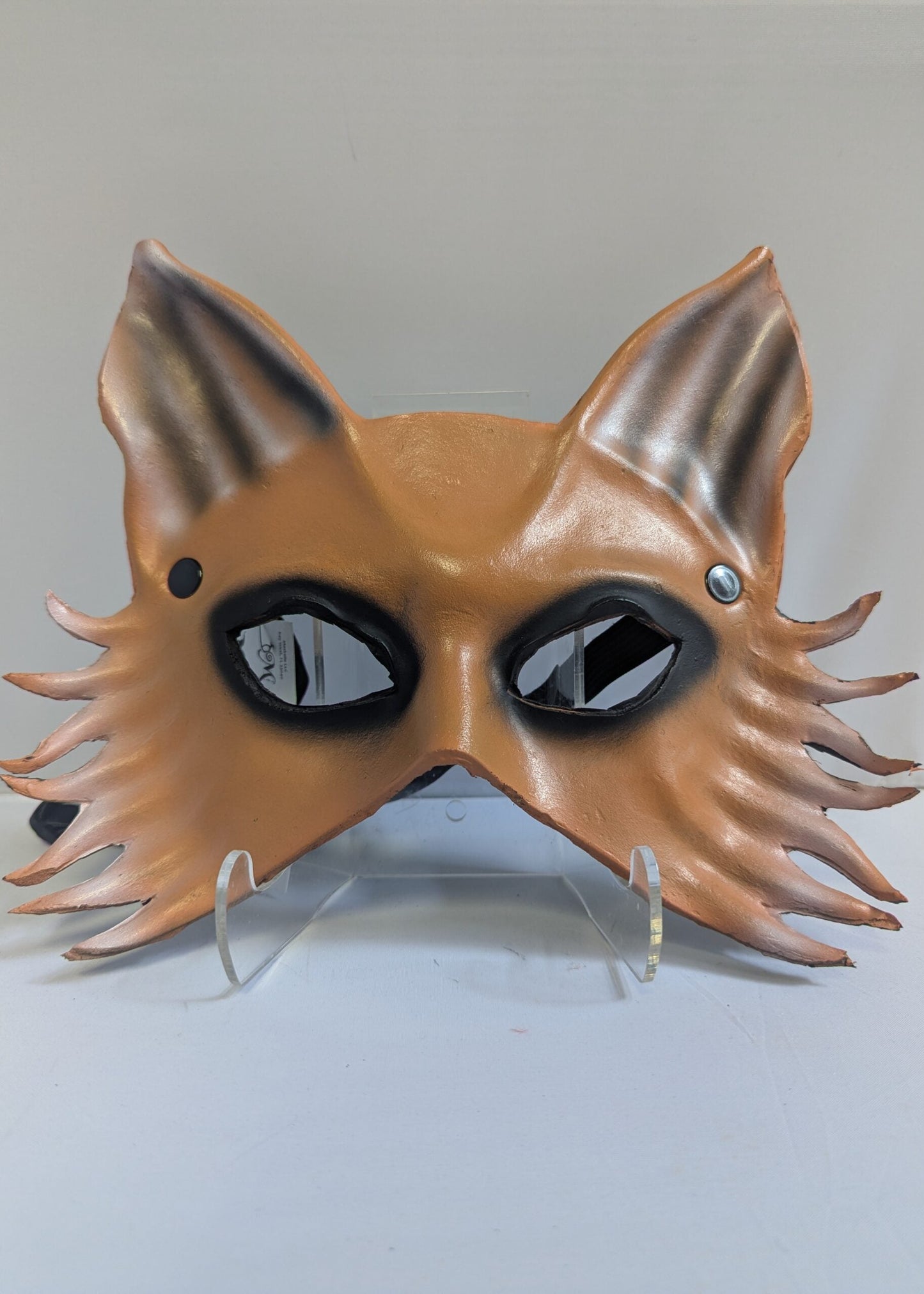 Brown Fox image 0