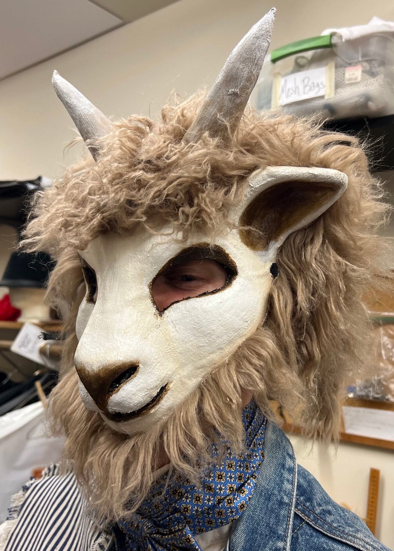 Goat with Wig image 0